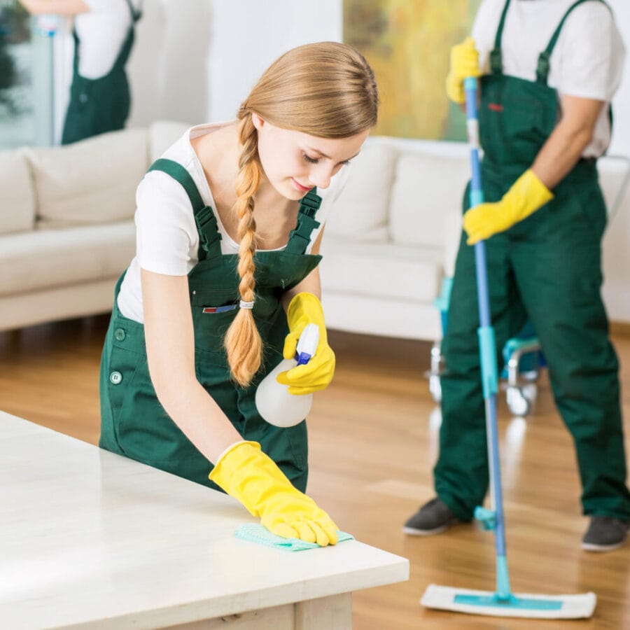House Cleaning Services